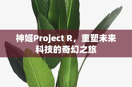 神姬Project R，重塑未来科技的奇幻之旅