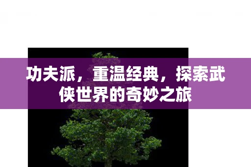 功夫派，重温经典，探索武侠世界的奇妙之旅