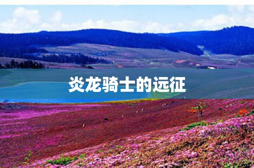 炎龙骑士的远征