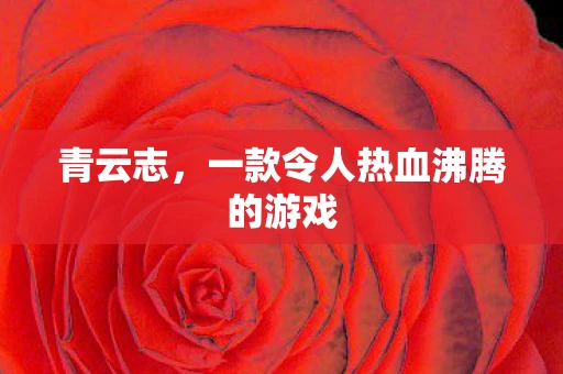青云志，一款令人热血沸腾的游戏