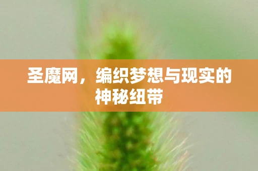 圣魔网，编织梦想与现实的神秘纽带