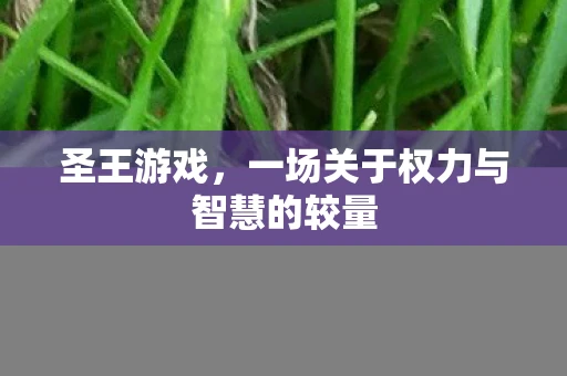 圣王游戏，一场关于权力与智慧的较量