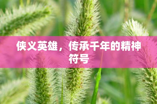 侠义英雄，传承千年的精神符号