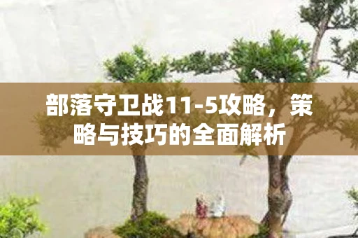 部落守卫战11-5攻略，策略与技巧的全面解析