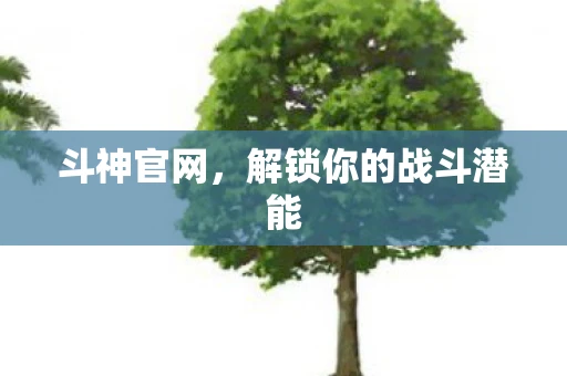 斗神官网，解锁你的战斗潜能