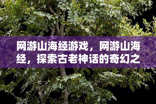 网游山海经游戏，网游山海经，探索古老神话的奇幻之旅