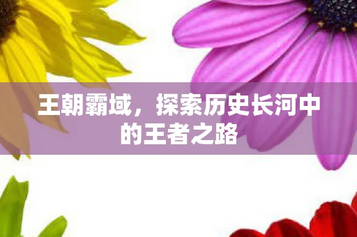 王朝霸域，探索历史长河中的王者之路