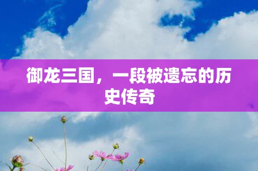 御龙三国，一段被遗忘的历史传奇