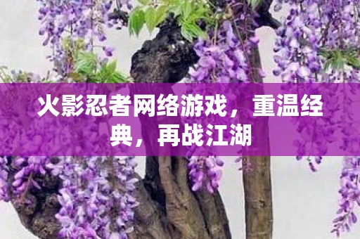 火影忍者网络游戏，重温经典，再战江湖