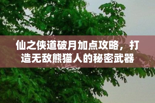 打造无敌熊猫人的秘密武器图片