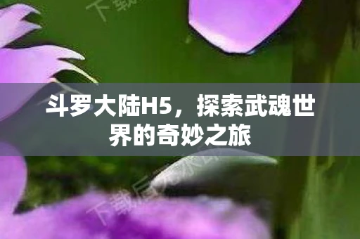 斗罗大陆H5，探索武魂世界的奇妙之旅