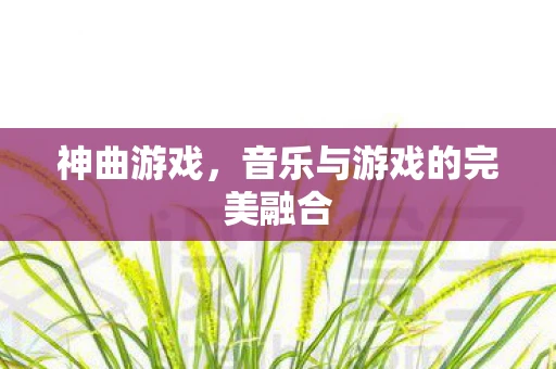 神曲游戏，音乐与游戏的完美融合