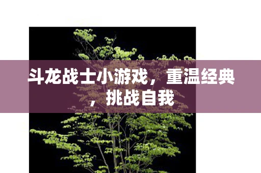 斗龙战士小游戏，重温经典，挑战自我