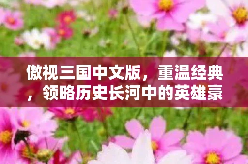傲视三国中文版，重温经典，领略历史长河中的英雄豪情