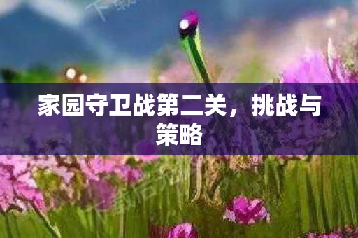 家园守卫战第二关，挑战与策略