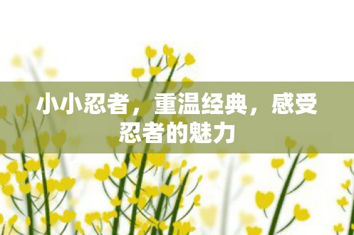 小小忍者，重温经典，感受忍者的魅力