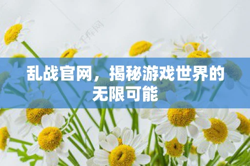 乱战官网，揭秘游戏世界的无限可能