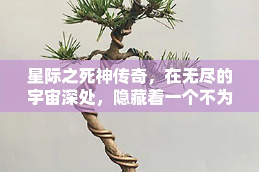 星际之死神传奇，在无尽的宇宙深处，隐藏着一个不为凡人所知的神秘领域—死神界。这里居住着掌管生死轮回的至高存在，他们被称为死神。今天，我要讲述的，就是一位传奇死神的传奇故事