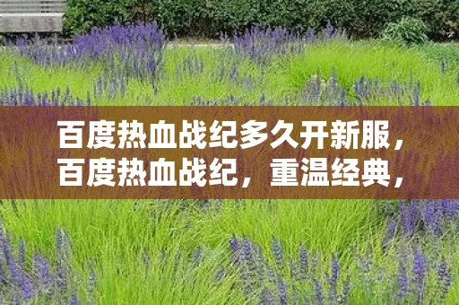 百度热血战纪多久开新服，百度热血战纪，重温经典，再燃激情