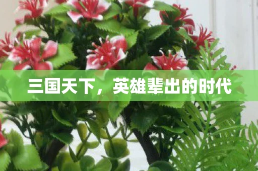 三国天下，英雄辈出的时代