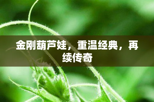 金刚葫芦娃，重温经典，再续传奇