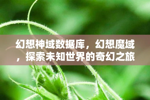 幻想神域数据库，幻想魔域，探索未知世界的奇幻之旅