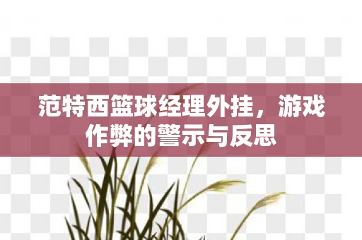 范特西篮球经理外挂，游戏作弊的警示与反思