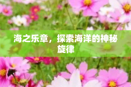 海之乐章，探索海洋的神秘旋律