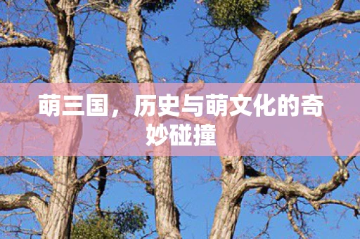 萌三国，历史与萌文化的奇妙碰撞