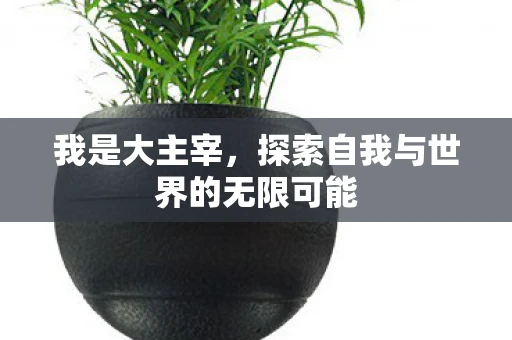 我是大主宰，探索自我与世界的无限可能