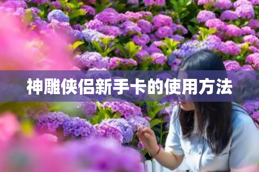 神雕侠侣新手卡的使用方法图片