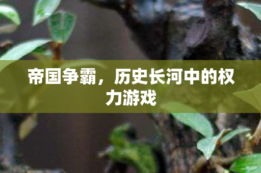 帝国争霸，历史长河中的权力游戏