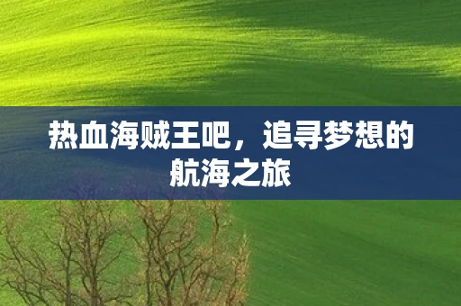 热血海贼王吧，追寻梦想的航海之旅