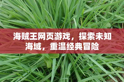 海贼王网页游戏，探索未知海域，重温经典冒险