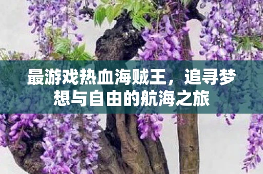 最游戏热血海贼王，追寻梦想与自由的航海之旅