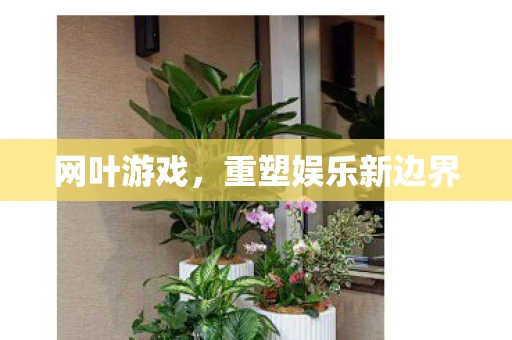 网叶游戏，重塑娱乐新边界