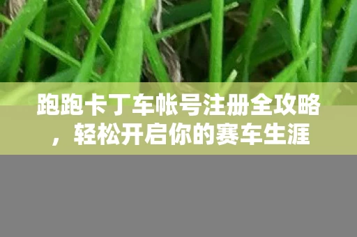 跑跑卡丁车帐号注册全攻略图片