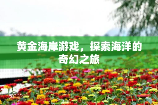 黄金海岸游戏，探索海洋的奇幻之旅