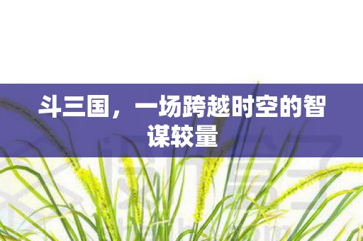 斗三国，一场跨越时空的智谋较量