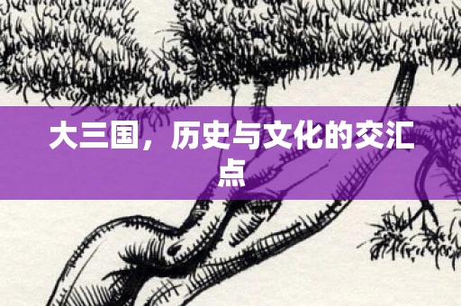 大三国，历史与文化的交汇点