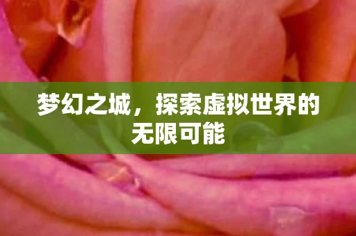 梦幻之城，探索虚拟世界的无限可能