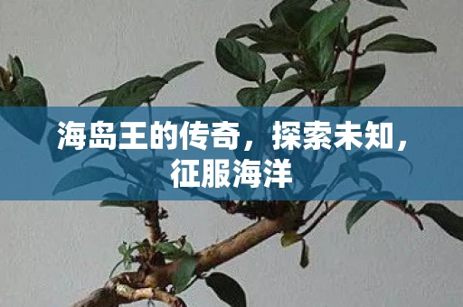 海岛王的传奇，探索未知，征服海洋