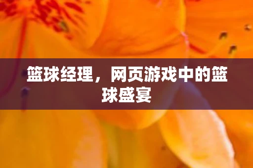 篮球经理，网页游戏中的篮球盛宴
