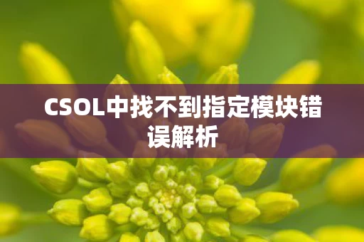 CSOL中找不到指定模块错误解析图片