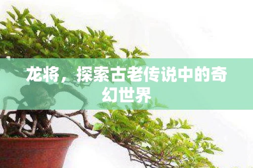 龙将，探索古老传说中的奇幻世界