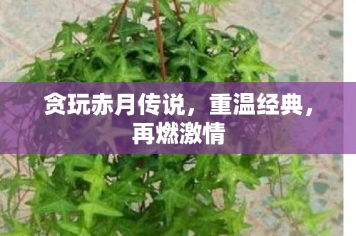 贪玩赤月传说，重温经典，再燃激情