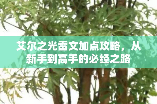 从新手到高手的必经之路图片