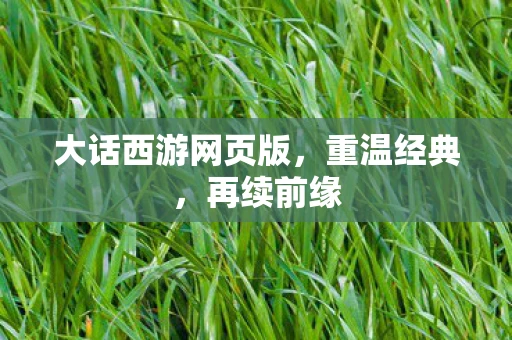 大话西游网页版，重温经典，再续前缘