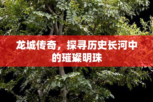 龙城传奇，探寻历史长河中的璀璨明珠