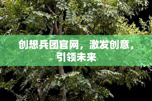 创想兵团官网，激发创意，引领未来
